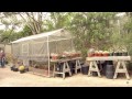 Cactus and succulent garden and greenhouses | Bob Barth | Central Texas Gardener