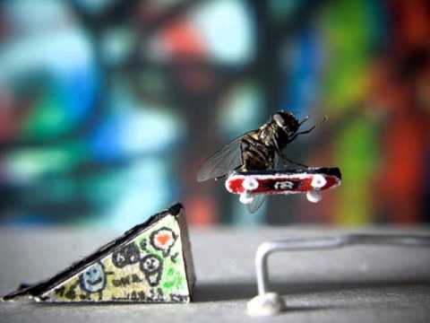 Danger Doom - Benzie Box [FlyingMosca]