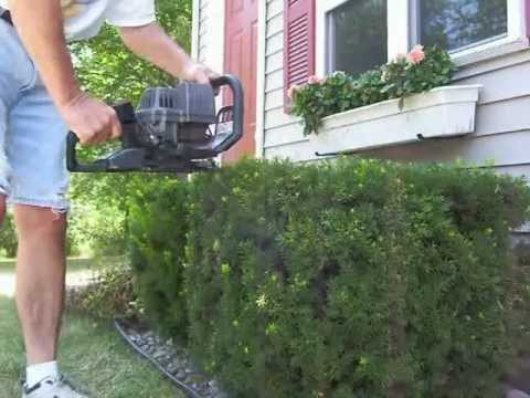 AMY AMY - The Craftsman 40 Volt Cordless Line Trimmer and Cordless 