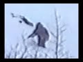 Best of Bigfoot Compilation