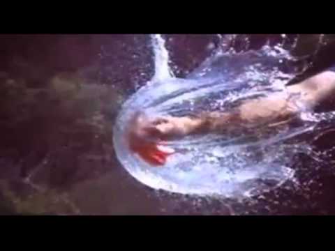 Number Four Video