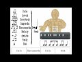 Classic Call & Response Rhythms featuring the "I'm So Fresh" Mnemonics & FL Studio Matrix