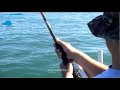 My First Kingfish