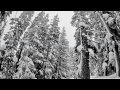 Cornfi3ld Productions-Powder days at Breck and Vail