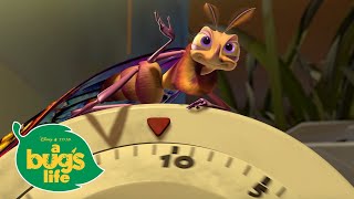 Flamin Hot Tricks A Bugs Life Disney Channel Uk