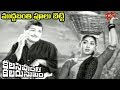 NTR Old Songs | Kalasi Vunte Kaladu Sukham | Mudda Banthi Poolu Song |NTR, Savitri| Old Telugu Songs