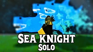 Solo Sea Knight Rogue Lineage