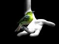 Marc Et Claude Feat. Maria Nayler - Free Spirit (Original Radio Version)