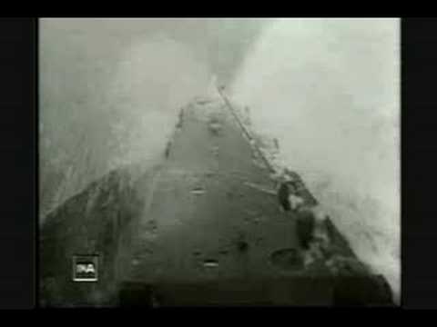 Fuck Or Kill Video