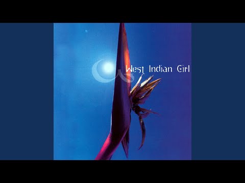 Northern Sky Video