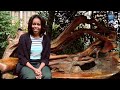 Raw Video: Behind the Scenes at Chengdu Panda Base with First Lady Michelle Obama