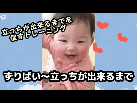 赤ちゃんのずりばい〜立っちが出来るまでの様子をまとめました