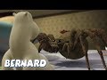 Bernard Bear | The Moth AND MORE | 30 min Compilation | Cartoons for Children