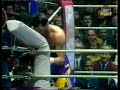 Henry Maske vs Prince Charles Williams