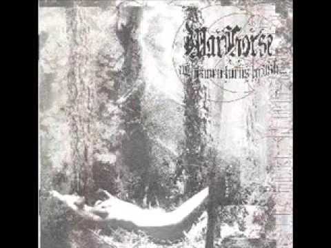 Every Flower Dies No Matter the Thorns (Wither) Video