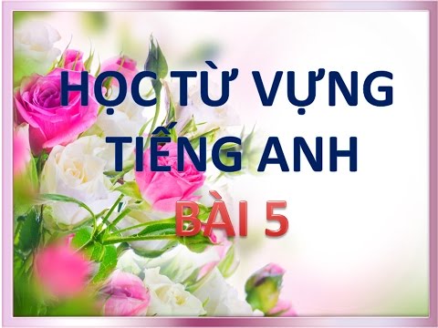 Học từ vựng Tiếng Anh - Bài 5 - Hoc tu vung tieng anh