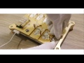 MIJING ACT PLUS CHIP TEST TOOL(2)