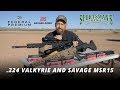 .224 Valkyrie and Savage MSR15