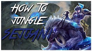 How to Sejuani jungle Guide | Season 8 Patch 8.6 | League of Legends