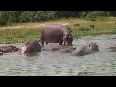 アフリカ・サファリ（ウガンダ・ナイル川ツアー）