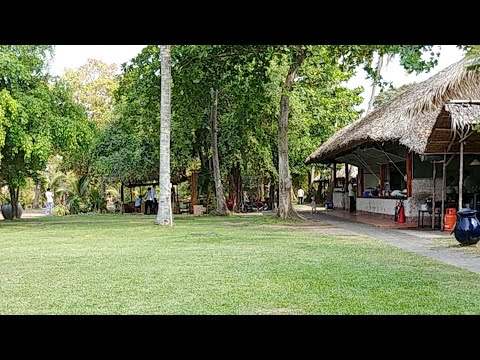Khám Phá Khu Du Lịch Bình Quới Sài Gòn