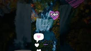 آهنگ عکساشو پاره کردم شهره