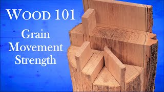 The Way Wood Works -- What Every Woodworker Needs To Know About Wood.