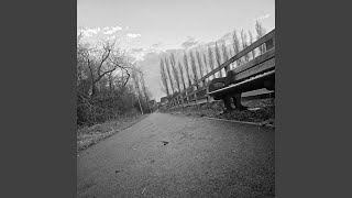 A Walk Home