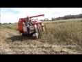 รีวิว รถเกี่ยวข้าวนั่งขับ KUBOTA R1 211A มือสอง จากญี่ปุ่น นิฮอนโมโน
