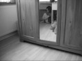domestic violence and children