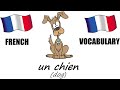 French Lesson 2 - PETS Vocabulary - Animals - Learn French - The French Minute