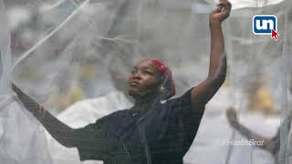 Malaria Outbreak - Solutions To Avoid Curable Diseases