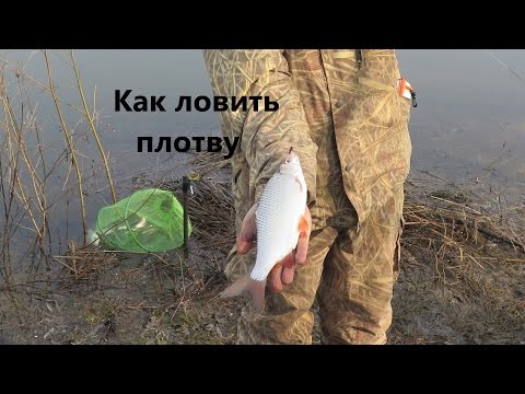 когда весной лучше ловить судака когда весной лучше ловить судака