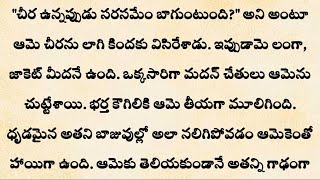 మనసక నచచ భరయభరతల అదమన కథ Heart Touching Stories In Telugu