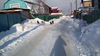 Видео Иркутск. Боково. Переулок. от Елена Краснова, переулок Мичурина, Иркутск, Россия