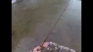 Cripple Creek Trout Fishing