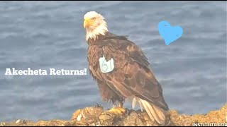 West End Eagles Akecheta A-61 Returns To West End & Rocks Our World Seeing Him Again 9.24.25