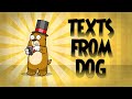 texts