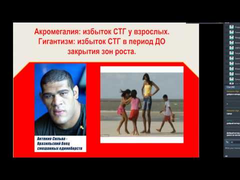 Как сделать свой рост выше 905