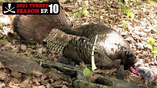 I Hear Footsteps! Kentucky Hardwood Ridge Longbeard - 2021 Turkey Season Ep. 10