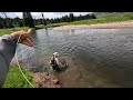 Fly Fishing Slough Creek, July 2023 - Yellowstone National Park