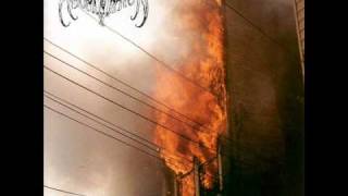 Watch Abomination Blood For Oil video