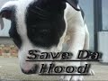 Save Da Hood   Vechni Hard Core