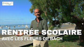 Fleurs de Bach - Préparer la rentrée scolaire sereinement pour les enfants et les parents