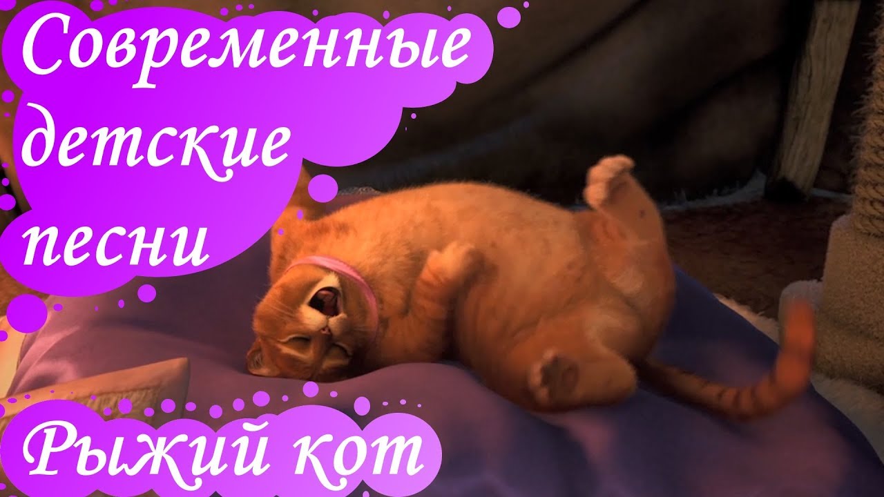 Песня Рыжий Кот На Диете Круглый