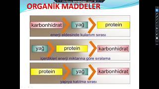 CANLILARIN TEMEL BİLEŞENLERİ:ORGANİK VE İNORGANİK BİLEŞİKLER