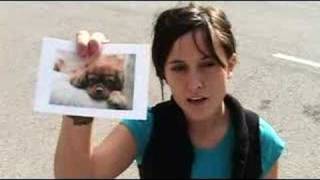 Watch Fiery Furnaces My Dog Was Lost But Now Hes Found video