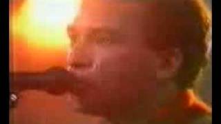 Watch Os Paralamas Do Sucesso Dois Elefantes video