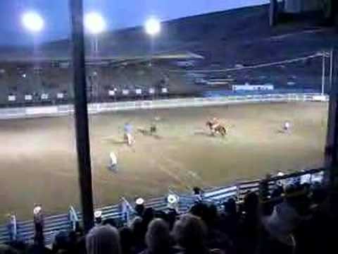 Auto Horse Racing Rodeo Bull Riding on Rodeo Horse Fatally Gored By Bull At High School Rodeo