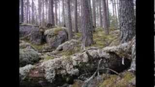 Watch Moonsorrow Raunioilla video